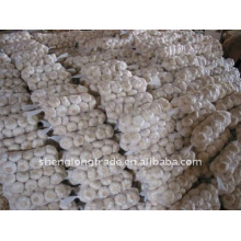 Chinese Fresh garlic 5pcs packing